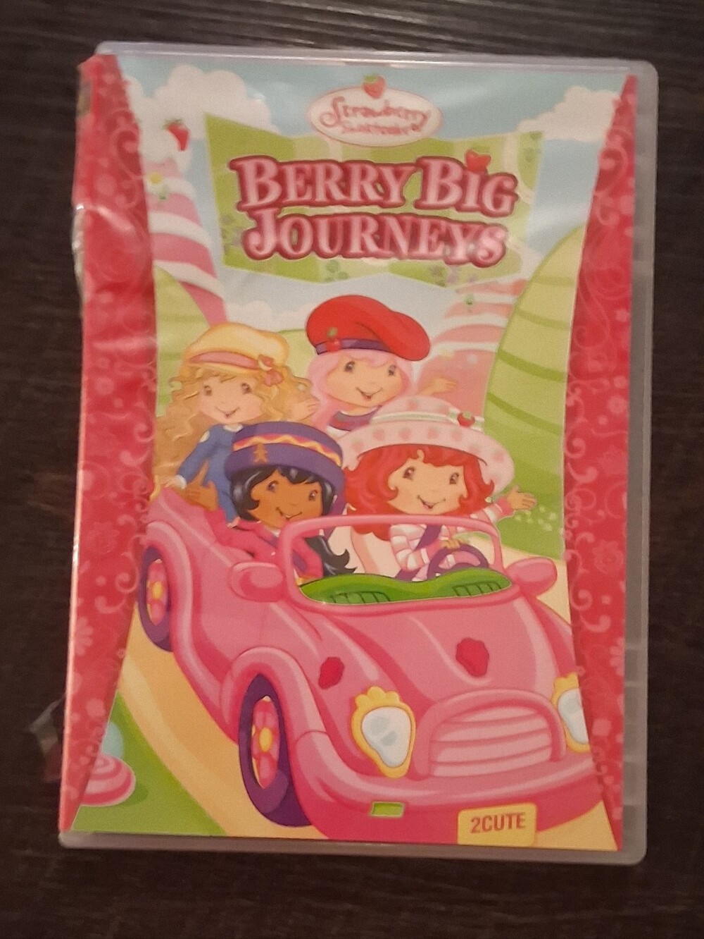 Strawberry Shortcake: Berry Big Journeys - Pink Kids DVD